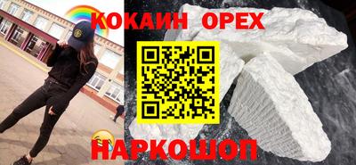 шишки Обь