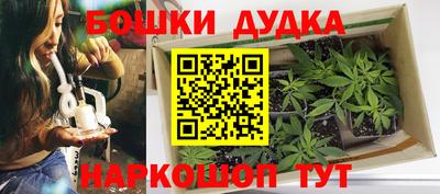 шишки Обь