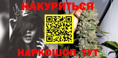 шишки Обь