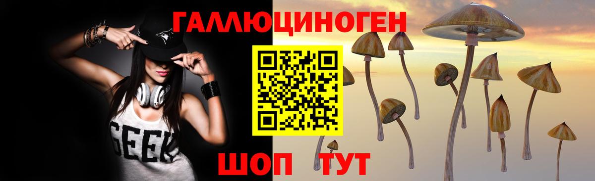 Соль-Илецк  Псилоцибиновые грибы Magic Shrooms  Вход с VPN 